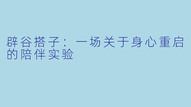 辟谷搭子：一场关于身心重启的陪伴实验