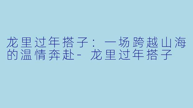 龙里过年搭子：一场跨越山海的温情奔赴-龙里过年搭子