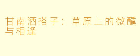 甘南酒搭子：草原上的微醺与相逢
