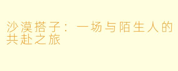 沙漠搭子：一场与陌生人的共赴之旅
