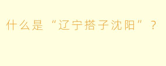 什么是“辽宁搭子沈阳”？