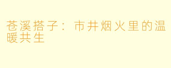 苍溪搭子：市井烟火里的温暖共生
