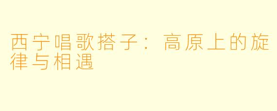 西宁唱歌搭子：高原上的旋律与相遇