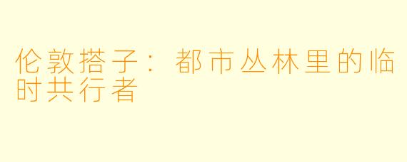 伦敦搭子：都市丛林里的临时共行者