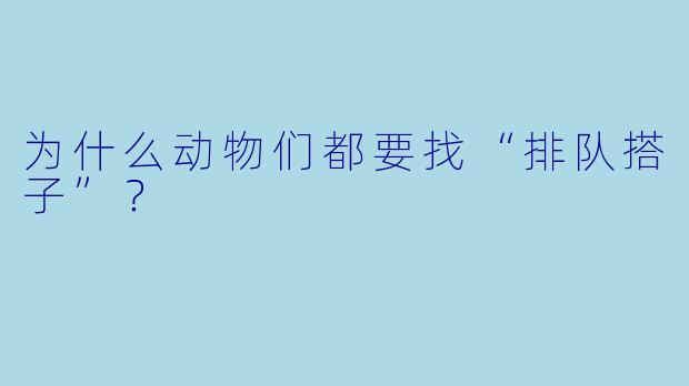 为什么动物们都要找“排队搭子”？