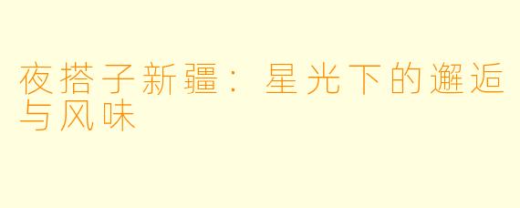 夜搭子新疆：星光下的邂逅与风味