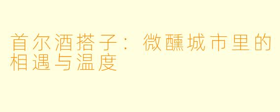 首尔酒搭子：微醺城市里的相遇与温度