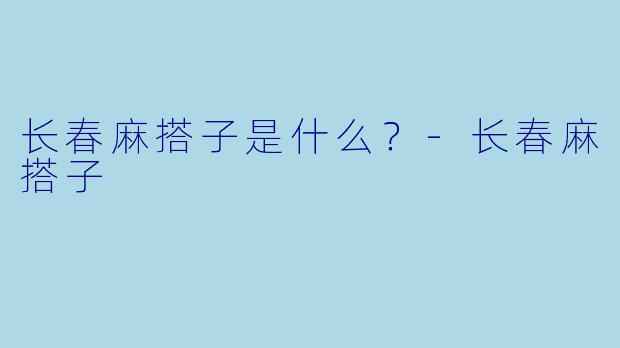 长春麻搭子是什么？