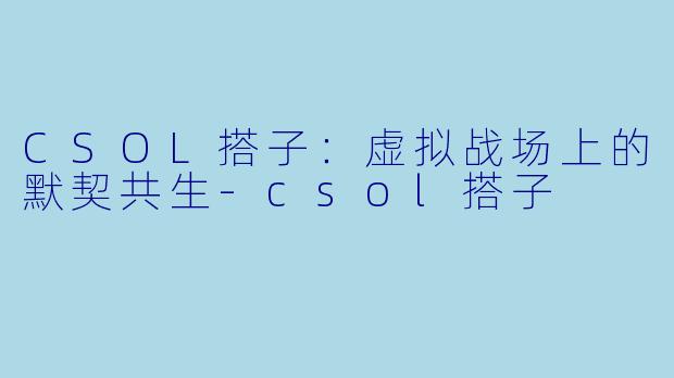 CSOL搭子:虚拟战场上的默契共生-csol搭子