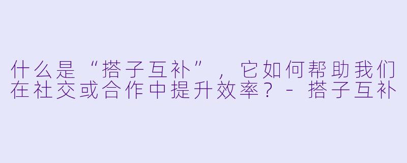 什么是“搭子互补”，它如何帮助我们在社交或合作中提升效率？
