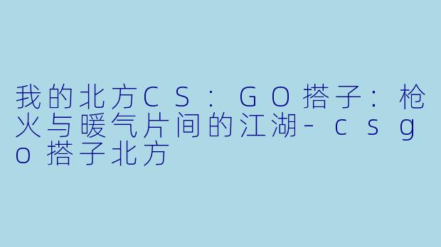 我的北方CS:GO搭子：枪火与暖气片间的江湖-csgo搭子北方