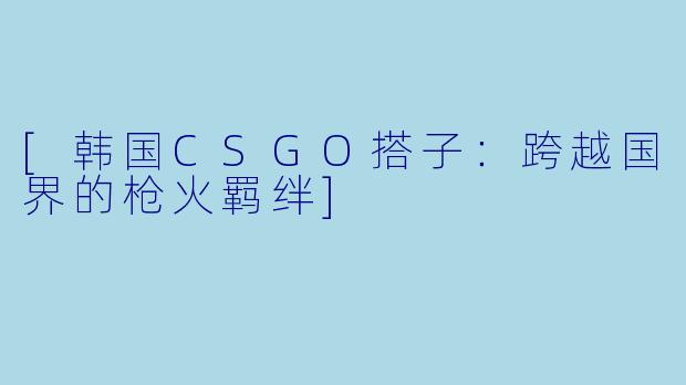 [韩国CSGO搭子：跨越国界的枪火羁绊]