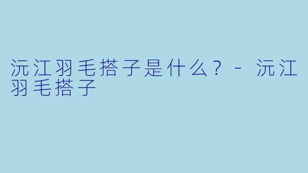 沅江羽毛搭子是什么？-沅江羽毛搭子