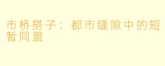 市桥搭子：都市缝隙中的短暂同盟