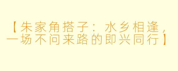【朱家角搭子：水乡相逢，一场不问来路的即兴同行】