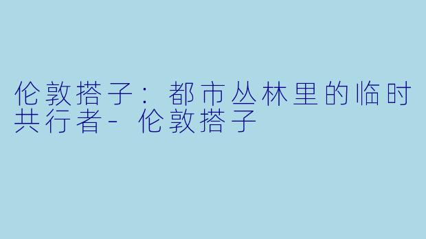 伦敦搭子：都市丛林里的临时共行者-伦敦搭子