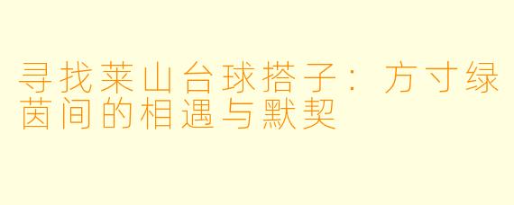 寻找莱山台球搭子：方寸绿茵间的相遇与默契
