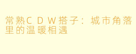 常熟CDW搭子：城市角落里的温暖相遇