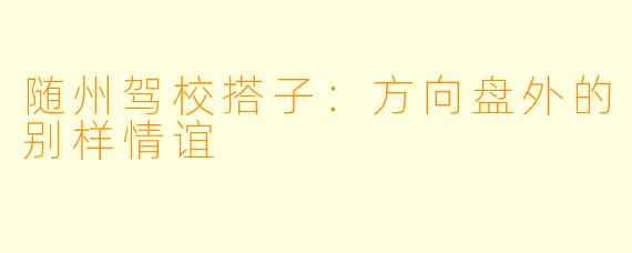 随州驾校搭子：方向盘外的别样情谊