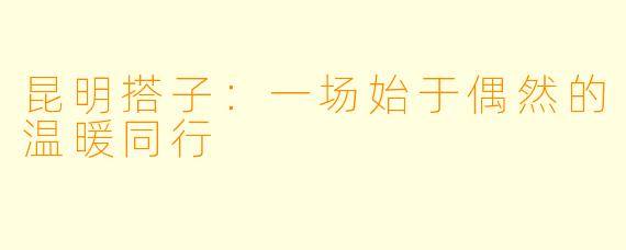 昆明搭子：一场始于偶然的温暖同行