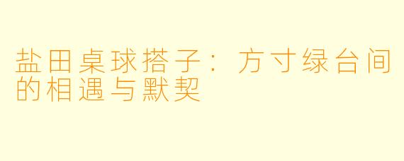 盐田桌球搭子:方寸绿台间的相遇与默契