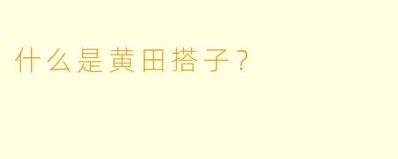 什么是黄田搭子？