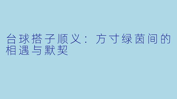台球搭子顺义:方寸绿茵间的相遇与默契
