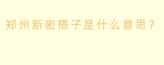 郑州新密搭子是什么意思？