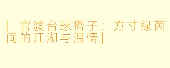 [官渡台球搭子：方寸绿茵间的江湖与温情]