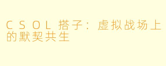 CSOL搭子:虚拟战场上的默契共生