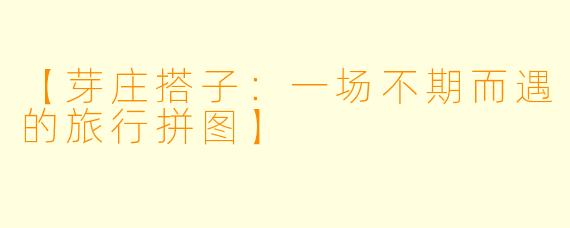 【芽庄搭子：一场不期而遇的旅行拼图】