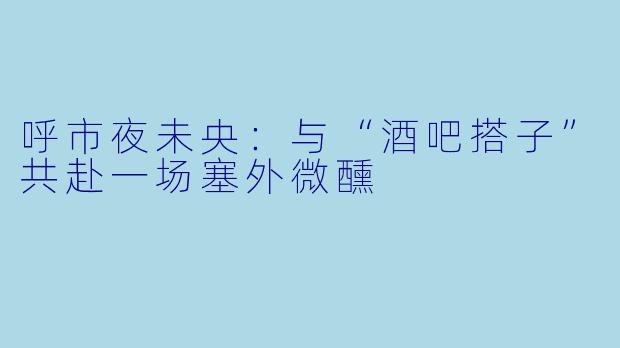 呼市夜未央：与“酒吧搭子”共赴一场塞外微醺