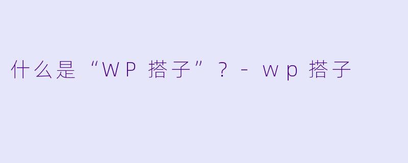 什么是“WP搭子”？