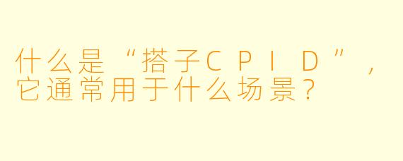 什么是“搭子CPID”，它通常用于什么场景？