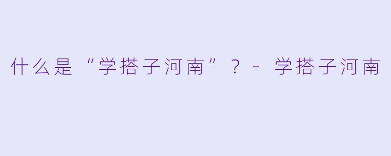 什么是“学搭子河南”？
