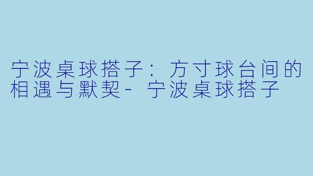 宁波桌球搭子：方寸球台间的相遇与默契-宁波桌球搭子