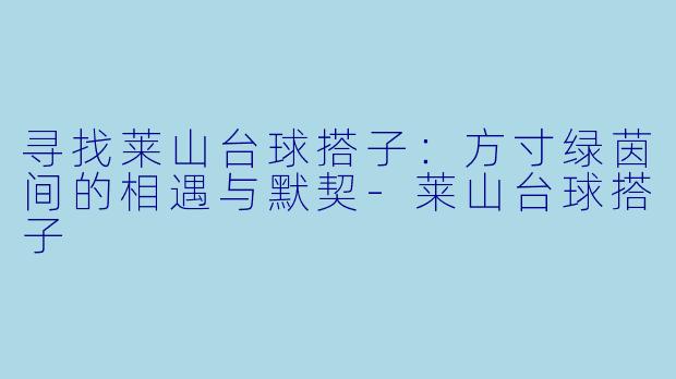 寻找莱山台球搭子：方寸绿茵间的相遇与默契