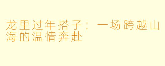龙里过年搭子：一场跨越山海的温情奔赴