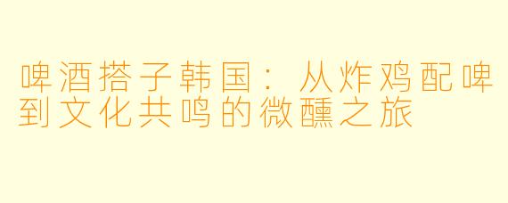 啤酒搭子韩国：从炸鸡配啤到文化共鸣的微醺之旅