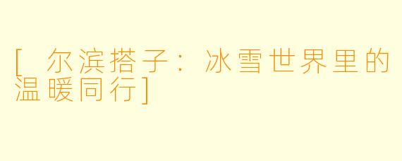 [尔滨搭子：冰雪世界里的温暖同行]