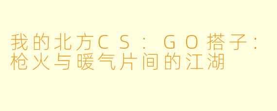 我的北方CS:GO搭子：枪火与暖气片间的江湖