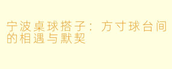 宁波桌球搭子：方寸球台间的相遇与默契
