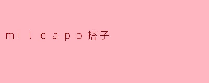 mileapo搭子