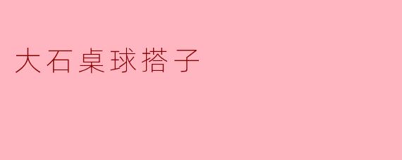 大石桌球搭子