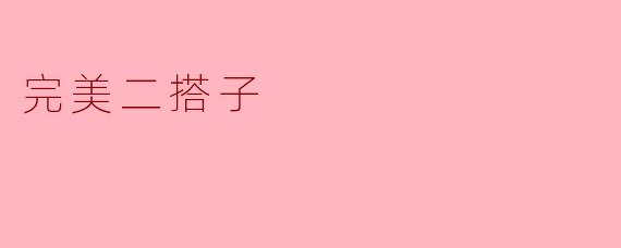 完美二搭子