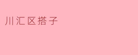 川汇区搭子