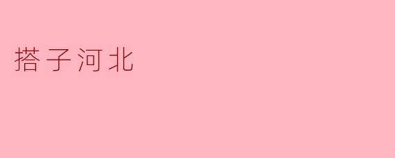 搭子河北
