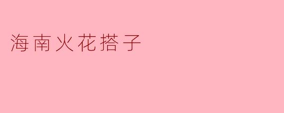 海南火花搭子：在椰风海韵中点燃旅行的灵感碰撞