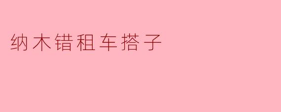 纳木错寻“搭子”：车轮上的圣湖邂逅与心灵共鸣
