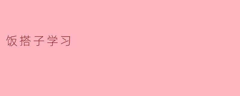 饭搭子学习